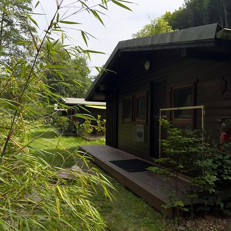 Rursee Schilsbachtal - Naturnahe Auszeit Am Rursee - Eifel-Ferienwohnungen Der Besonderen Art Simmerath Exterior photo