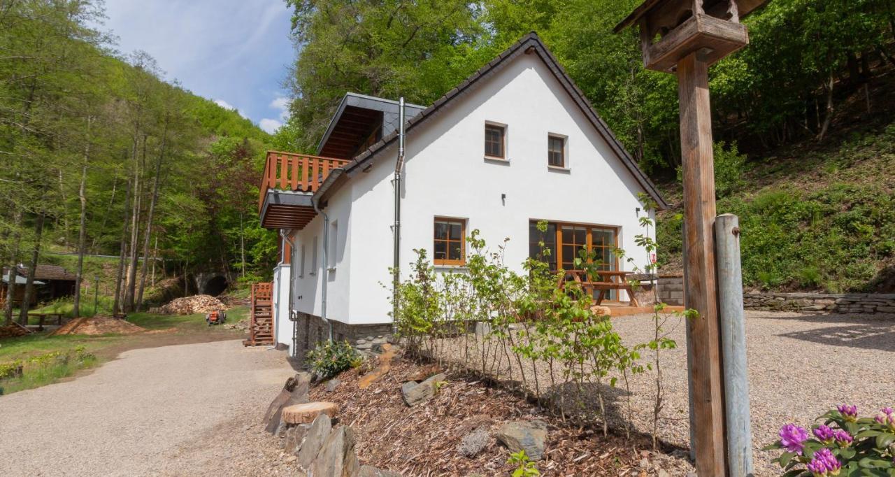 Rursee Schilsbachtal - Naturnahe Auszeit Am Rursee - Eifel-Ferienwohnungen Der Besonderen Art Simmerath Exterior photo