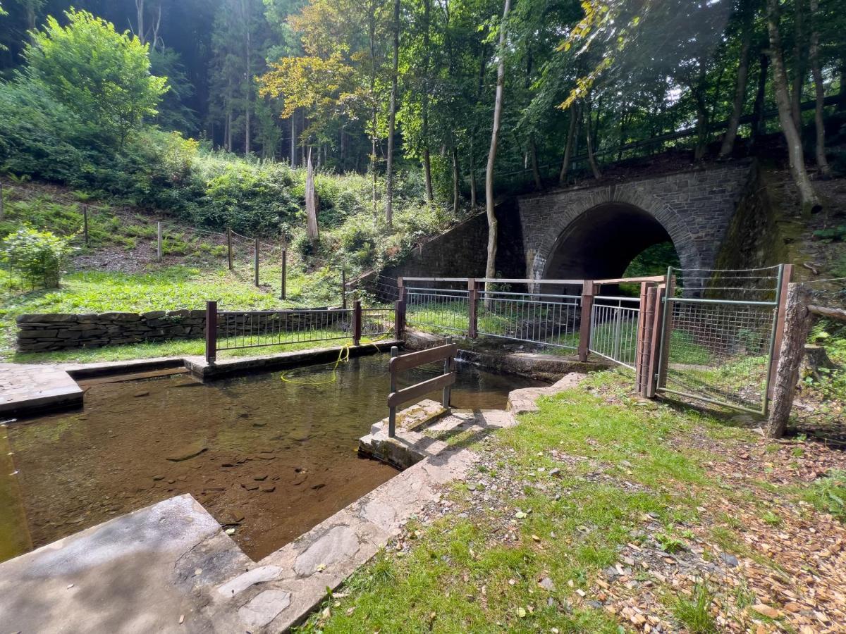 Rursee Schilsbachtal - Naturnahe Auszeit Am Rursee - Eifel-Ferienwohnungen Der Besonderen Art Simmerath Exterior photo