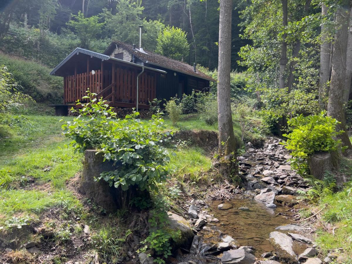 Rursee Schilsbachtal - Naturnahe Auszeit Am Rursee - Eifel-Ferienwohnungen Der Besonderen Art Simmerath Exterior photo